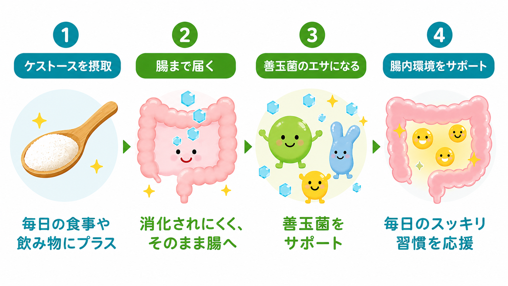 ケストースとは説明図